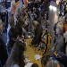 img02339.jpg