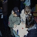 img02341.jpg